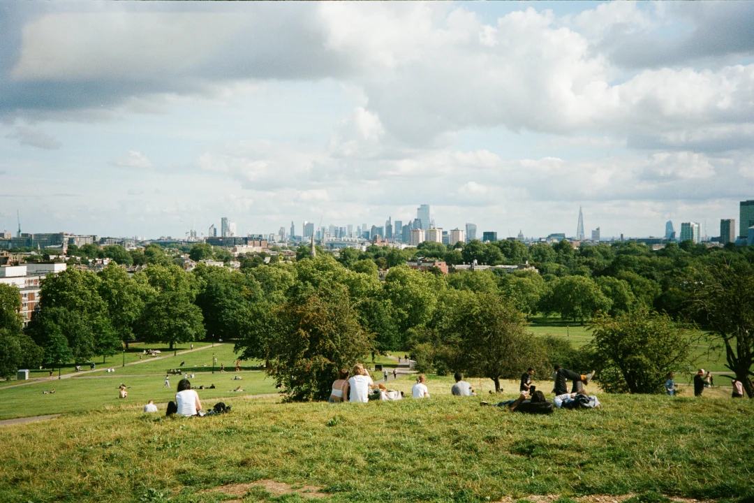 primrose-hill